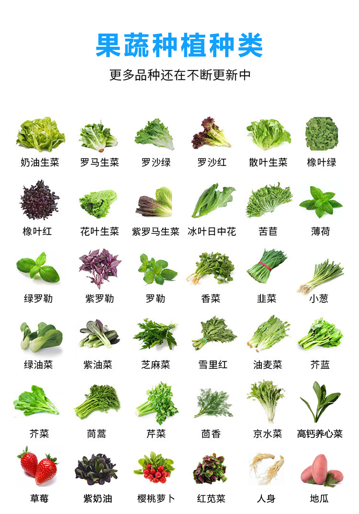 果蔬種植種類(lèi).jpg