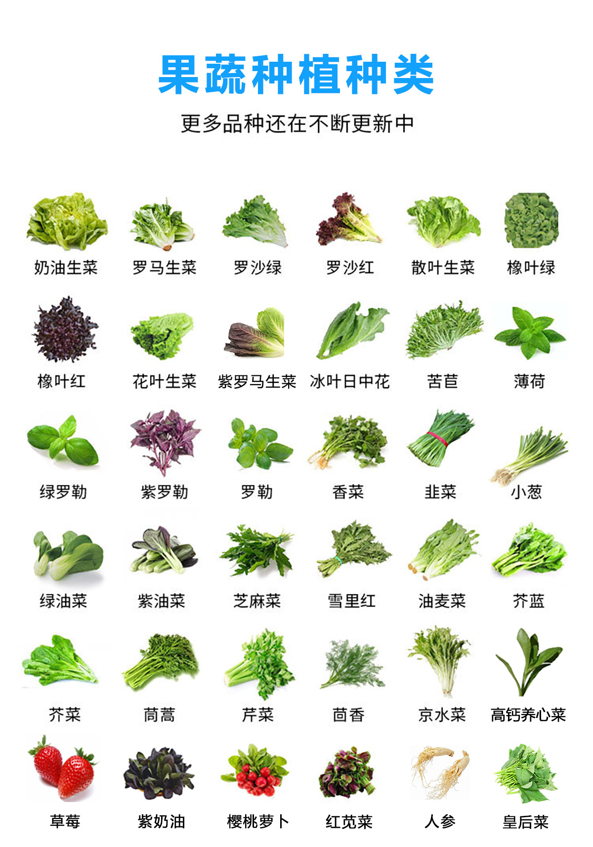 果蔬種植種類(lèi)1.jpg