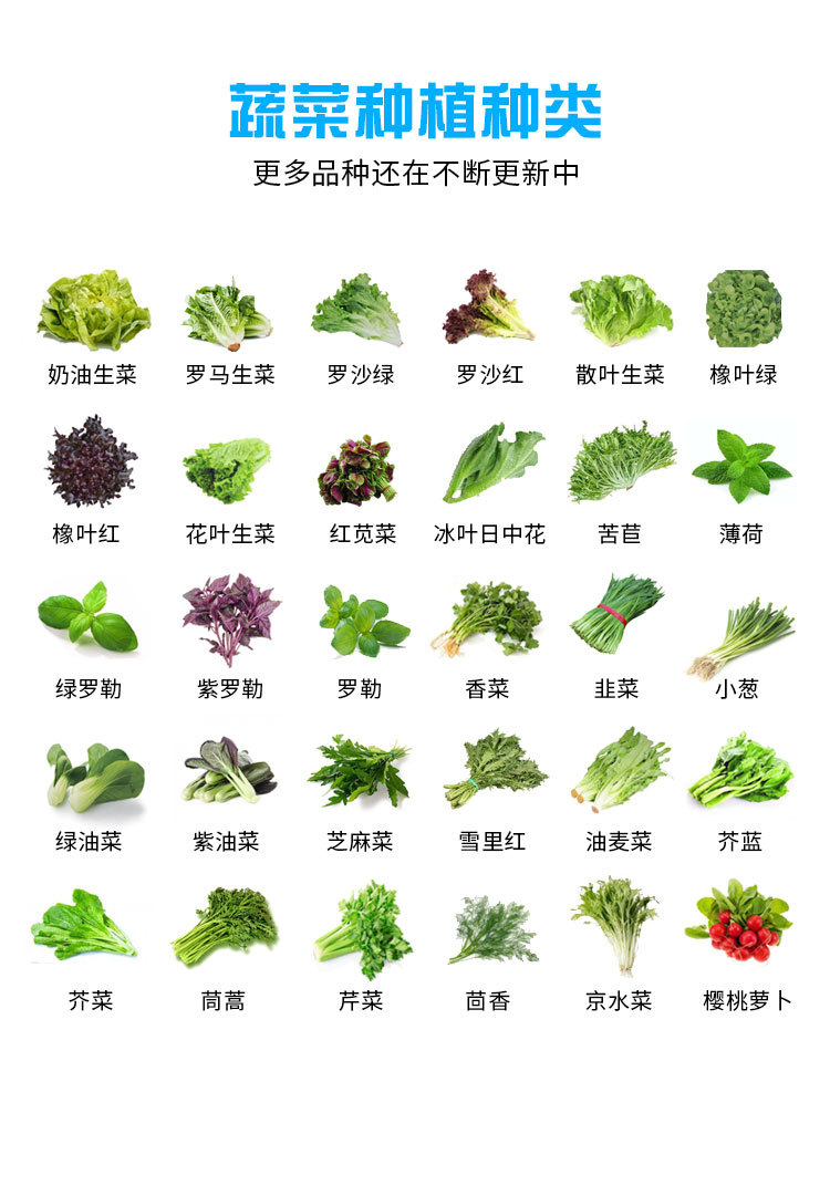 蔬菜種植種類(lèi).jpg